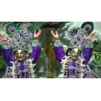 Брахмотсава - День явления Их Светлостей Шри Шри Гаура Нитай 2015