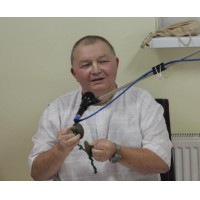 Лекция Гаура Кишор прабху, посвященная принципам преданного служения